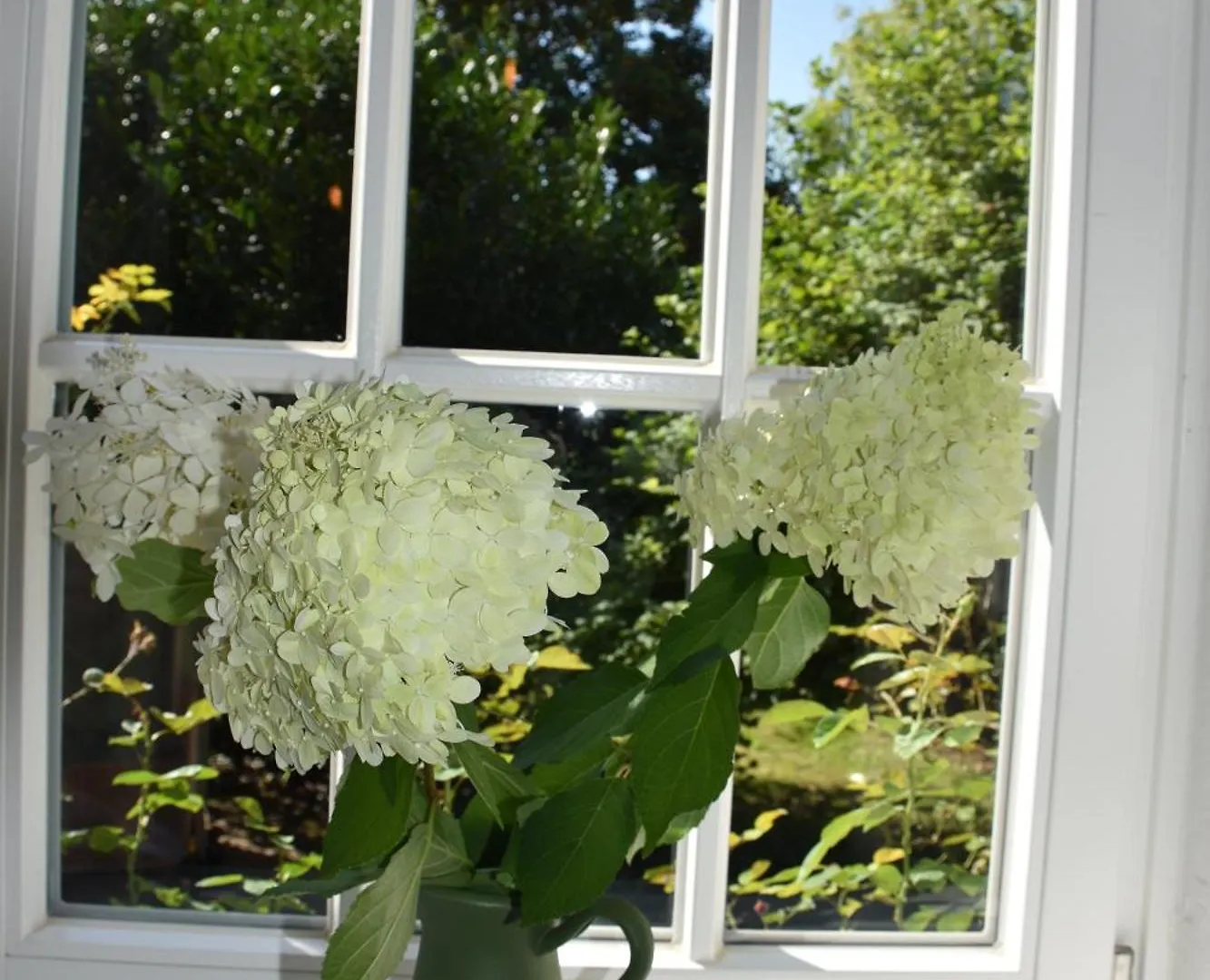 Hof Reinecke Bed & Breakfast Hannover